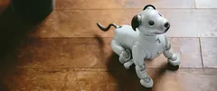 Sony AIBO ERS-1000
